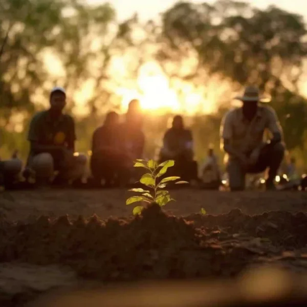 ¿Qué es la reforestación&hellip;
