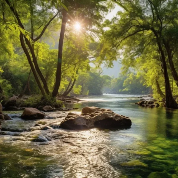 Sostenibilidad y Medio Ambiente&hellip;