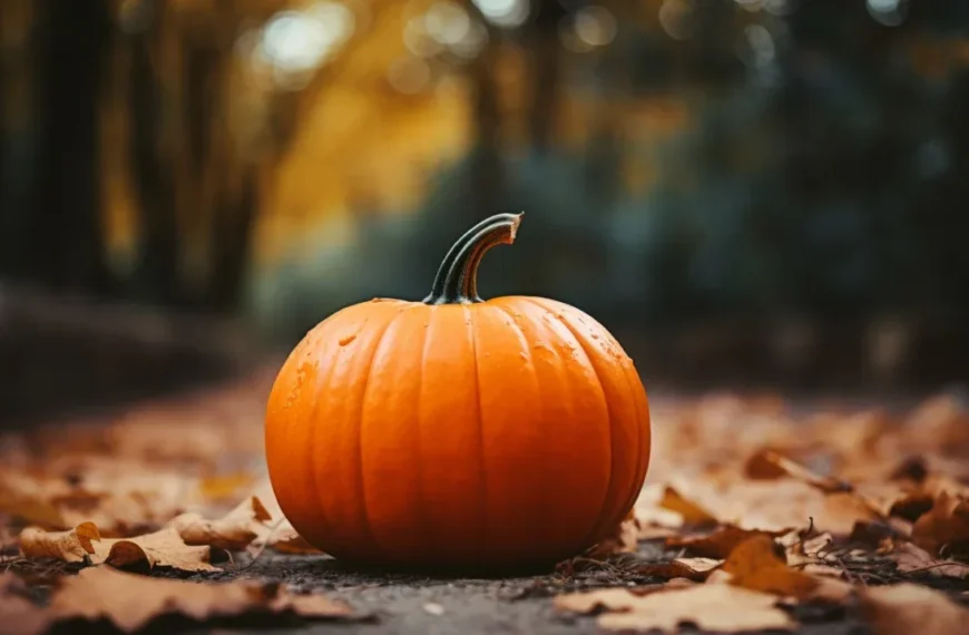 ¿Es la calabaza fruta o verdura?
