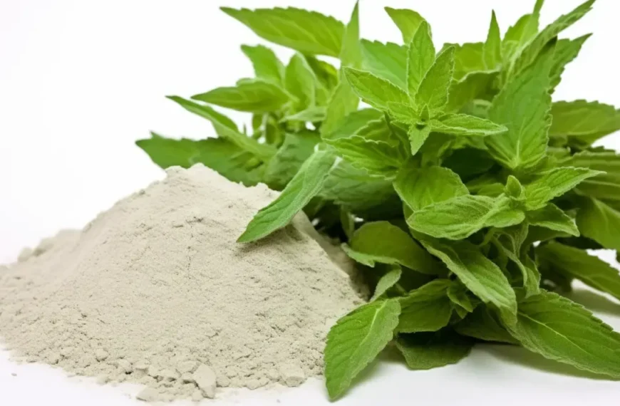 Beneficios de la stevia como endulzante natural